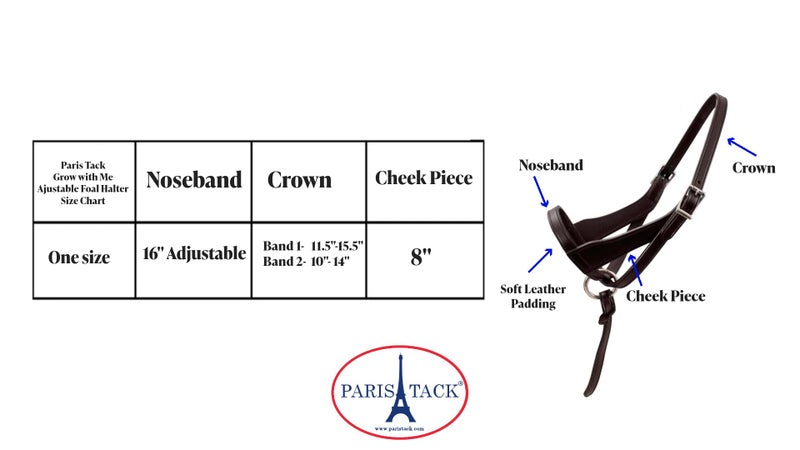 Paris Tack Double Layered Leather Grow with Me Adjustable Horse Foal Halter with Extra Crown Piece - Image 3